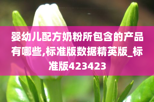 婴幼儿配方奶粉所包含的产品有哪些,标准版数据精英版_标准版423423