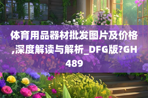 体育用品器材批发图片及价格,深度解读与解析_DFG版?GH489