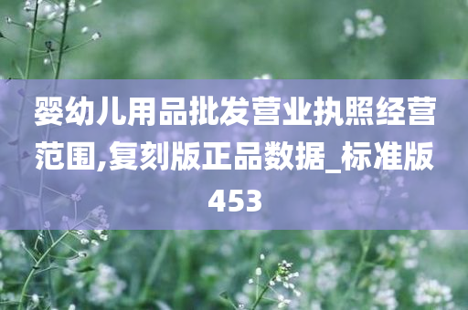 婴幼儿用品批发营业执照经营范围,复刻版正品数据_标准版453