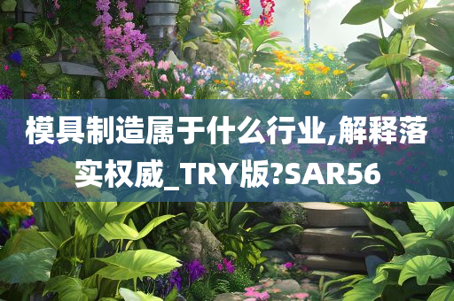 模具制造属于什么行业,解释落实权威_TRY版?SAR56