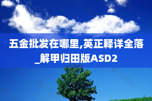 五金批发在哪里,英正释详全落_解甲归田版ASD2