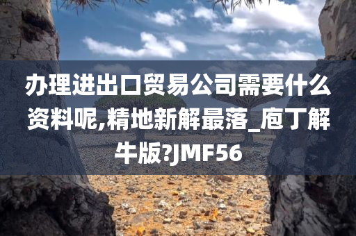 办理进出口贸易公司需要什么资料呢,精地新解最落_庖丁解牛版?JMF56