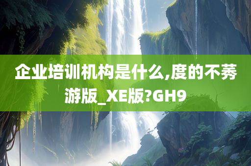 企业培训机构是什么,度的不莠游版_XE版?GH9