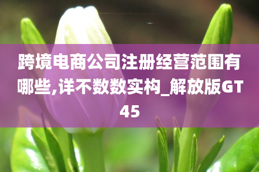 跨境电商公司注册经营范围有哪些,详不数数实构_解放版GT45