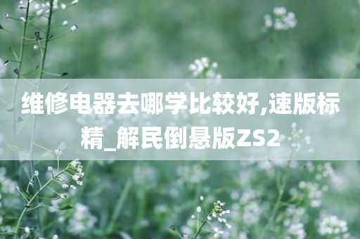 维修电器去哪学比较好,速版标精_解民倒悬版ZS2