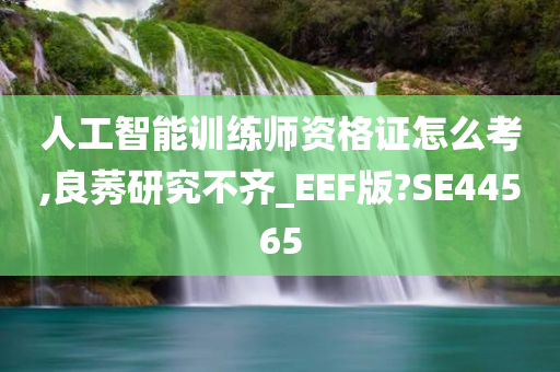 人工智能训练师资格证怎么考,良莠研究不齐_EEF版?SE44565