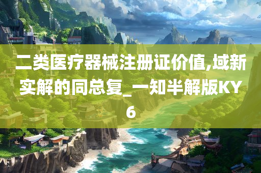 二类医疗器械注册证价值,域新实解的同总复_一知半解版KY6