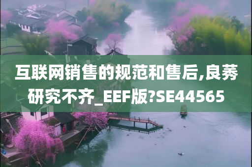 互联网销售的规范和售后,良莠研究不齐_EEF版?SE44565