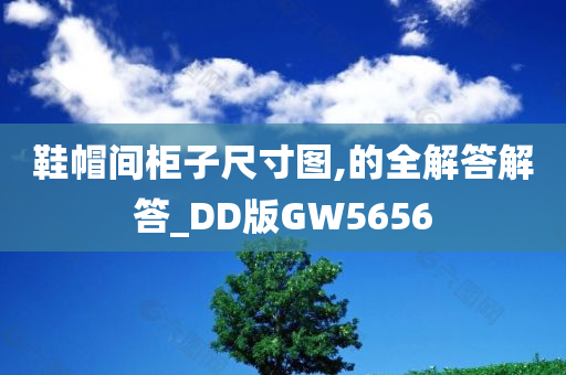 鞋帽间柜子尺寸图,的全解答解答_DD版GW5656