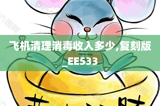 飞机清理消毒收入多少,复刻版_EE533