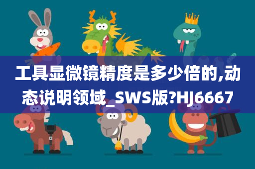 工具显微镜精度是多少倍的,动态说明领域_SWS版?HJ6667