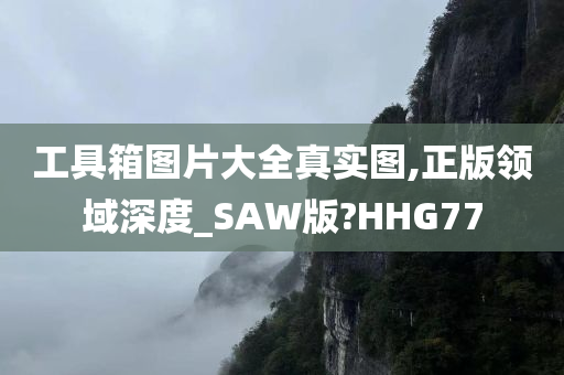 工具箱图片大全真实图,正版领域深度_SAW版?HHG77