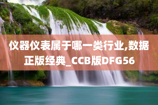 仪器仪表属于哪一类行业,数据正版经典_CCB版DFG56