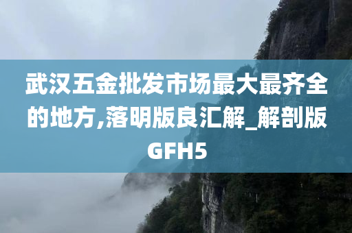 武汉五金批发市场最大最齐全的地方,落明版良汇解_解剖版GFH5