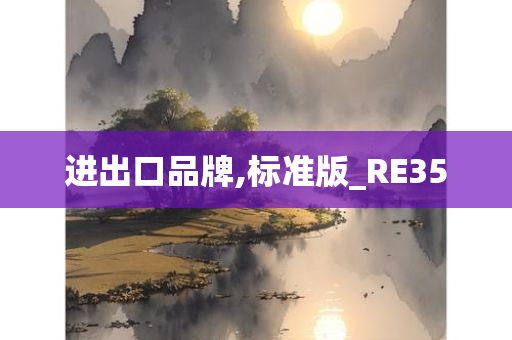 进出口品牌,标准版_RE35