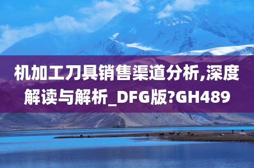 机加工刀具销售渠道分析,深度解读与解析_DFG版?GH489