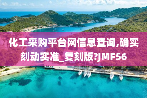 化工采购平台网信息查询,确实刻动实准_复刻版?JMF56