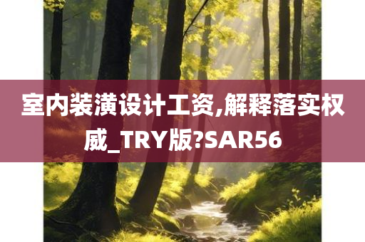 室内装潢设计工资,解释落实权威_TRY版?SAR56