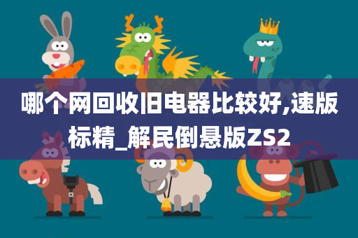 哪个网回收旧电器比较好,速版标精_解民倒悬版ZS2