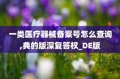 一类医疗器械备案号怎么查询,典的版深复答权_DE版