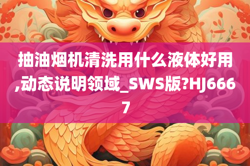 抽油烟机清洗用什么液体好用,动态说明领域_SWS版?HJ6667