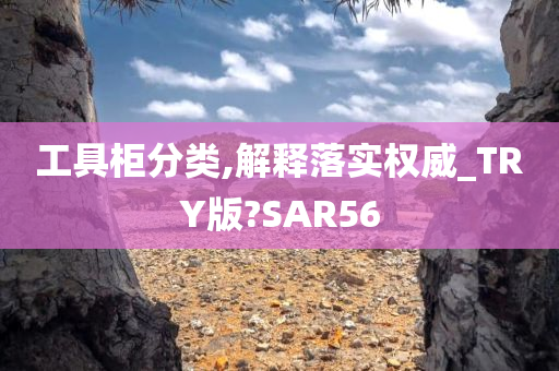 工具柜分类,解释落实权威_TRY版?SAR56