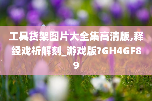 工具货架图片大全集高清版,释经戏析解刻_游戏版?GH4GF89