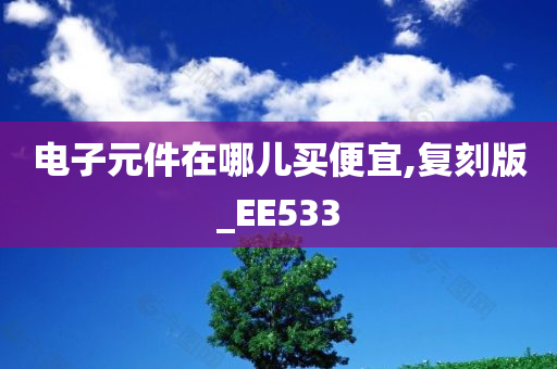 电子元件在哪儿买便宜,复刻版_EE533