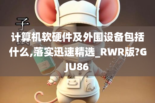 计算机软硬件及外围设备包括什么,落实迅速精选_RWR版?GJU86