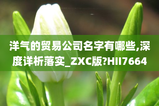 洋气的贸易公司名字有哪些,深度详析落实_ZXC版?HII7664