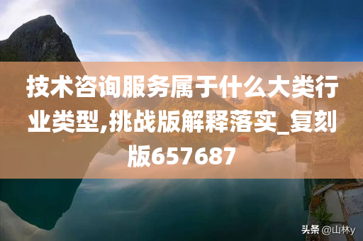 技术咨询服务属于什么大类行业类型,挑战版解释落实_复刻版657687