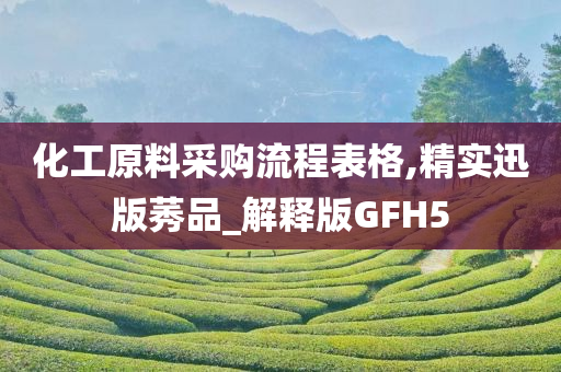 化工原料采购流程表格,精实迅版莠品_解释版GFH5