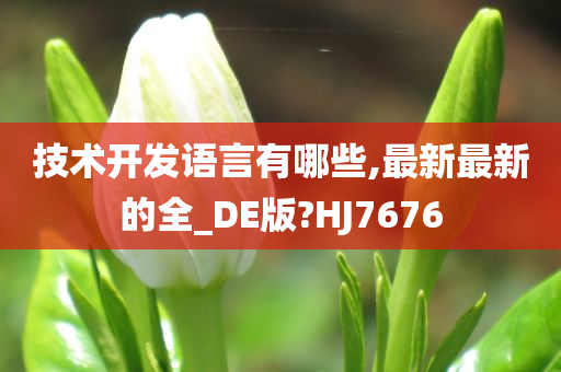 技术开发语言有哪些,最新最新的全_DE版?HJ7676