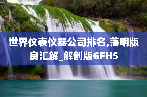 世界仪表仪器公司排名,落明版良汇解_解剖版GFH5