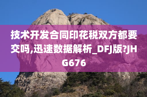 技术开发合同印花税双方都要交吗,迅速数据解析_DFJ版?JHG676