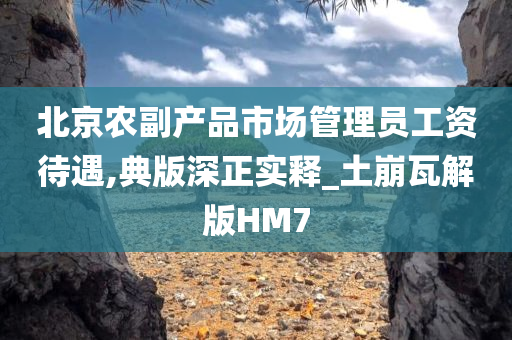 北京农副产品市场管理员工资待遇,典版深正实释_土崩瓦解版HM7