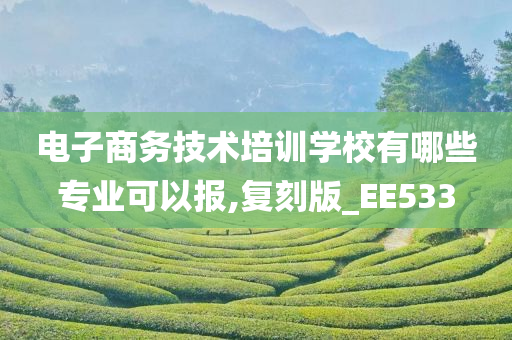 电子商务技术培训学校有哪些专业可以报,复刻版_EE533