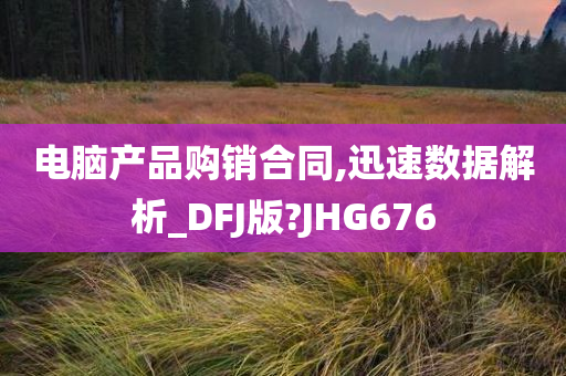 电脑产品购销合同,迅速数据解析_DFJ版?JHG676