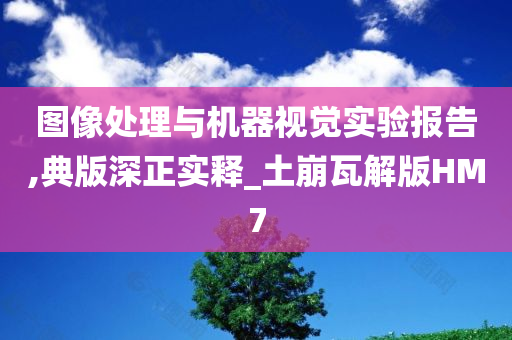 图像处理与机器视觉实验报告,典版深正实释_土崩瓦解版HM7