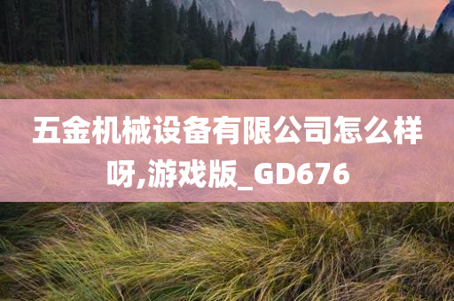 五金机械设备有限公司怎么样呀,游戏版_GD676