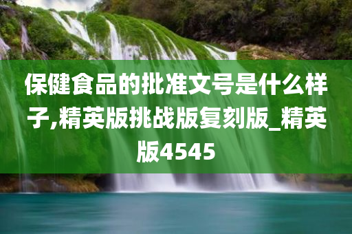 保健食品的批准文号是什么样子,精英版挑战版复刻版_精英版4545