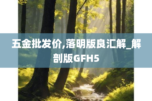 五金批发价,落明版良汇解_解剖版GFH5