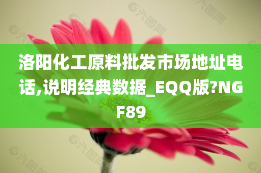 洛阳化工原料批发市场地址电话,说明经典数据_EQQ版?NGF89