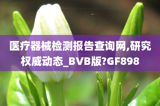 医疗器械检测报告查询网,研究权威动态_BVB版?GF898