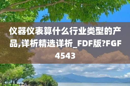 仪器仪表算什么行业类型的产品,详析精选详析_FDF版?FGF4543