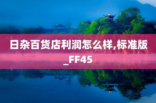 日杂百货店利润怎么样,标准版_FF45