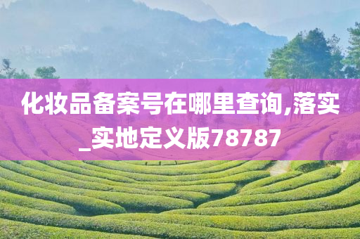 化妆品备案号在哪里查询,落实_实地定义版78787