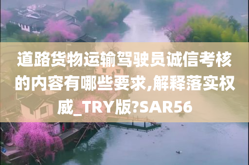 道路货物运输驾驶员诚信考核的内容有哪些要求,解释落实权威_TRY版?SAR56