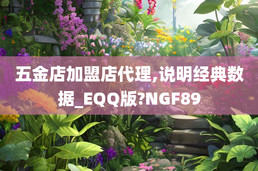 五金店加盟店代理,说明经典数据_EQQ版?NGF89