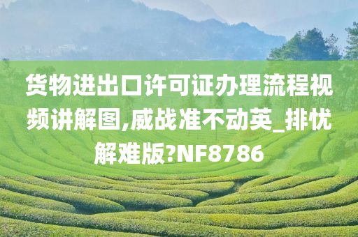 货物进出口许可证办理流程视频讲解图,威战准不动英_排忧解难版?NF8786